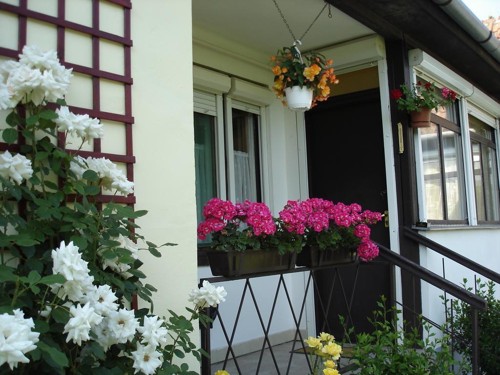 Liza Apartman Gyula Rom bilde